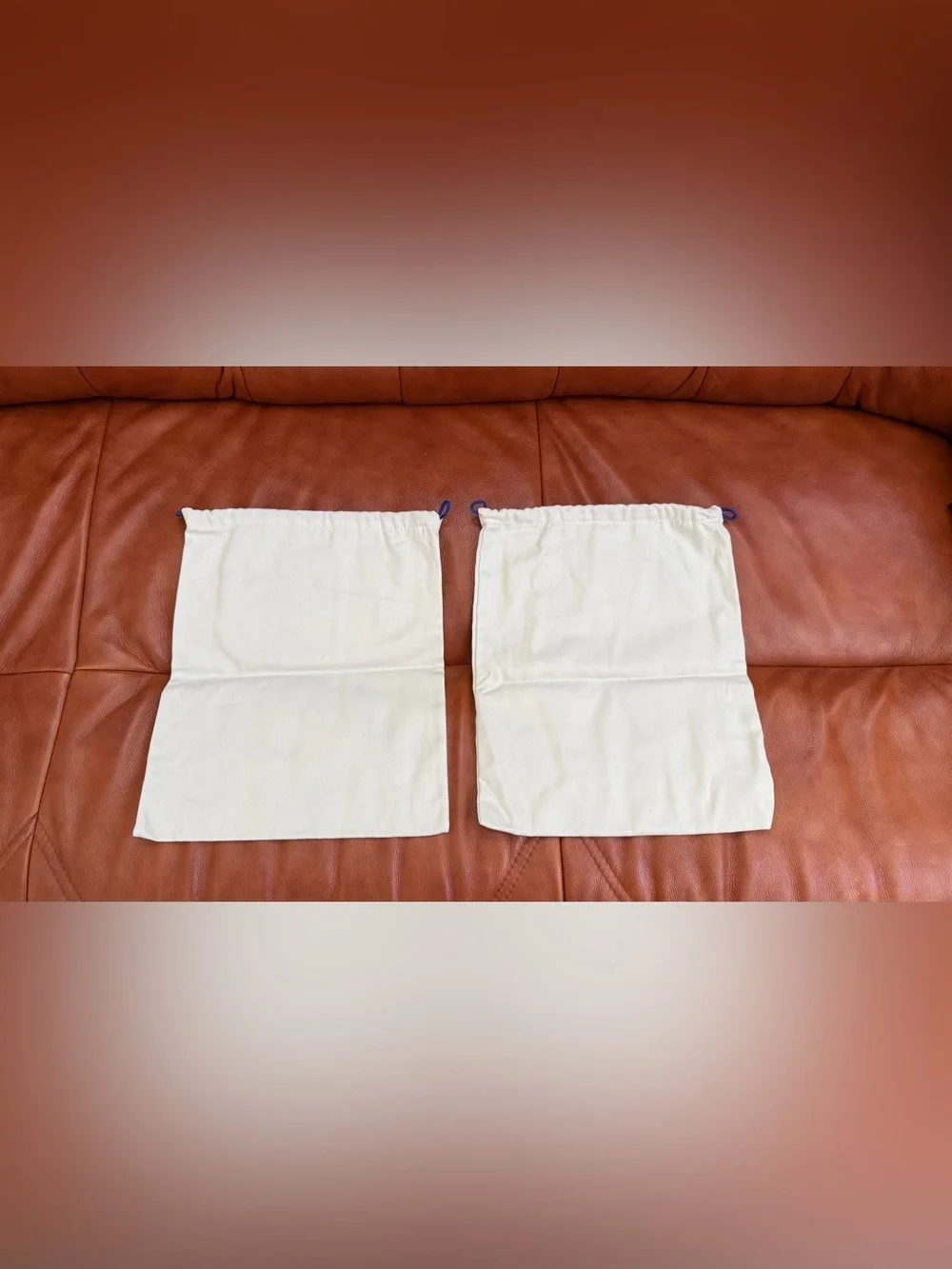 NWOT Burberry Set of 2 Dust Bag